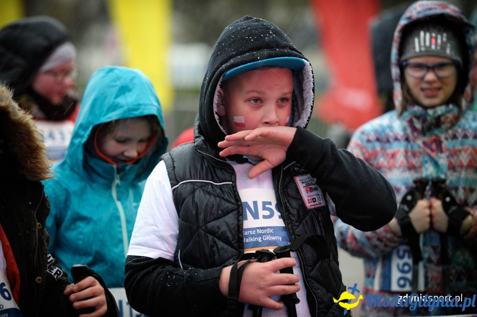 Marsz nordic walking - Bieg Niepodległości z PKO Bankiem Polskim 2017 (I)
