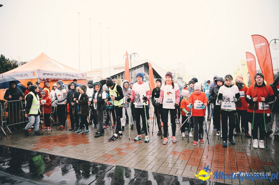 Marsz nordic walking - Bieg Niepodległości z PKO Bankiem Polskim 2017 (I)