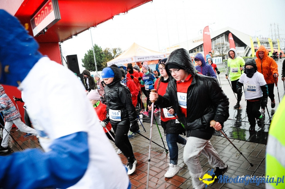 Marsz nordic walking - Bieg Niepodległości z PKO Bankiem Polskim 2017 (I)