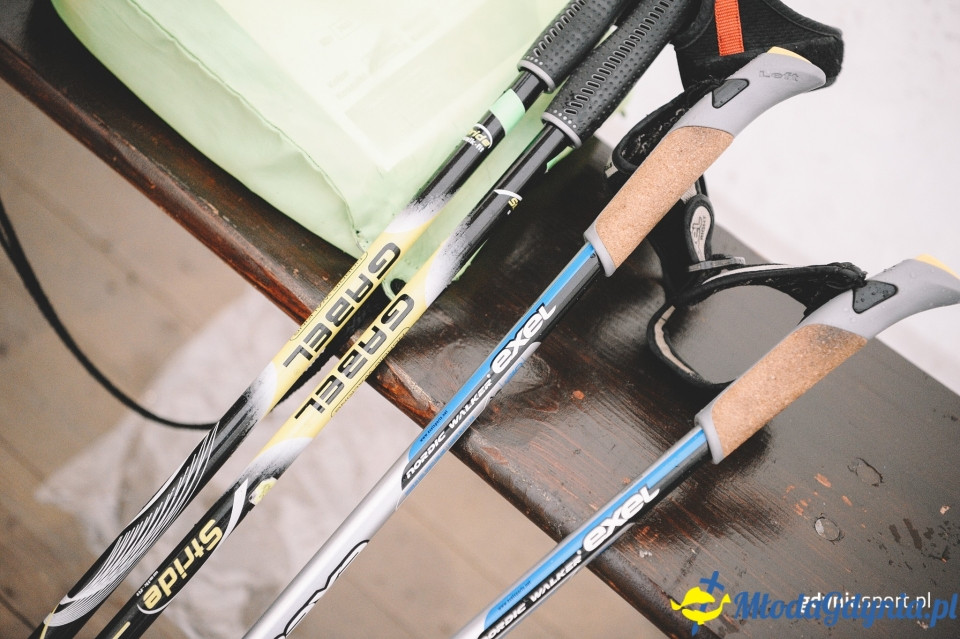 Marsz nordic walking - Bieg Niepodległości z PKO Bankiem Polskim 2017 (I)