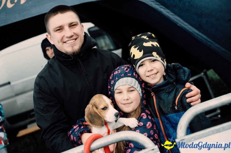 Marsz nordic walking - Bieg Niepodległości z PKO Bankiem Polskim 2017 (I)