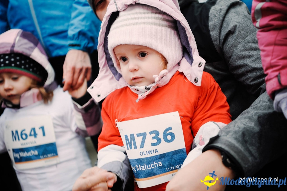 Bieg Malucha - Bieg Niepodległości z PKO Bankiem Polskim 2017