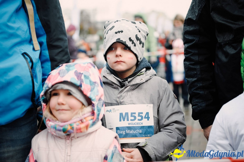 Bieg Malucha - Bieg Niepodległości z PKO Bankiem Polskim 2017