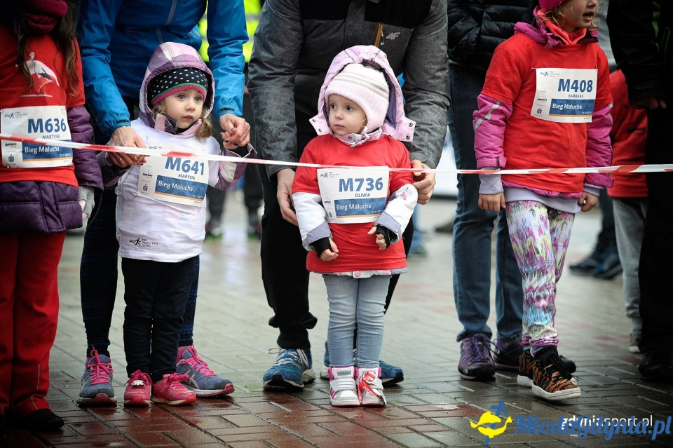 Bieg Malucha - Bieg Niepodległości z PKO Bankiem Polskim 2017