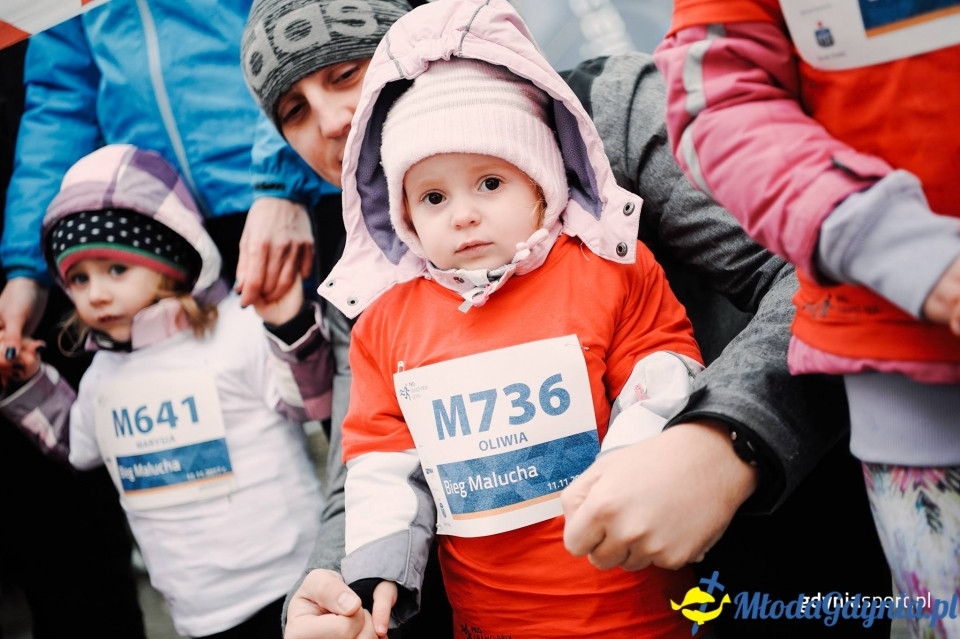 Bieg Malucha - Bieg Niepodległości z PKO Bankiem Polskim 2017