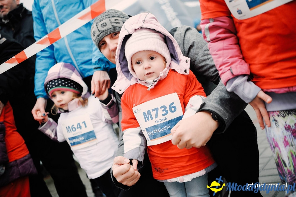 Bieg Malucha - Bieg Niepodległości z PKO Bankiem Polskim 2017