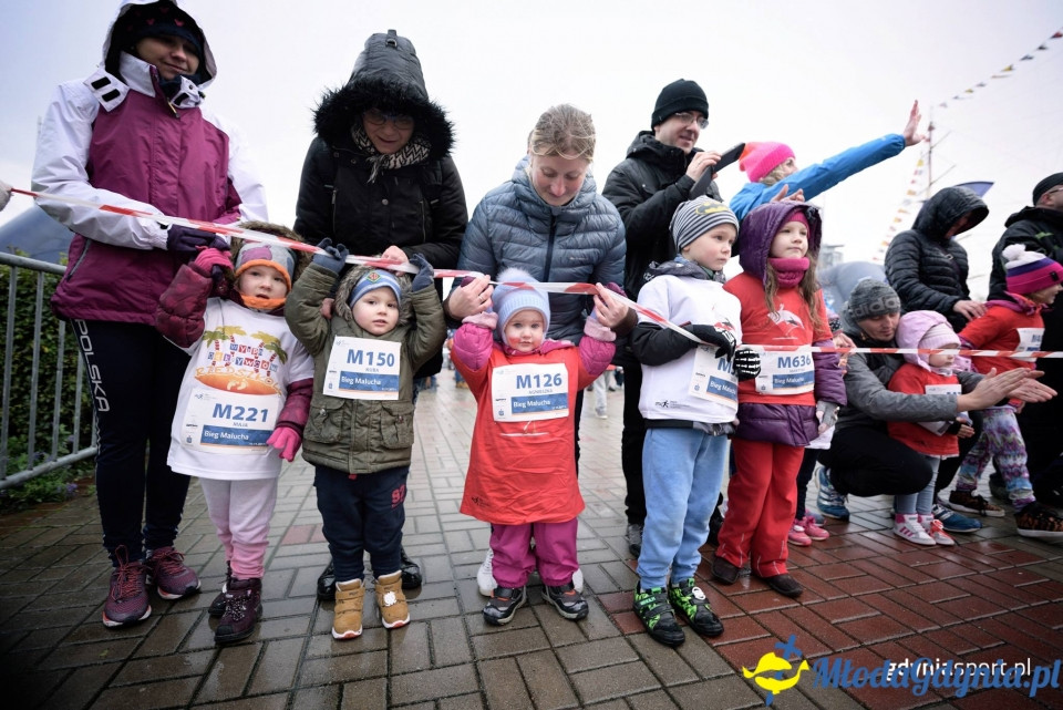 Bieg Malucha - Bieg Niepodległości z PKO Bankiem Polskim 2017