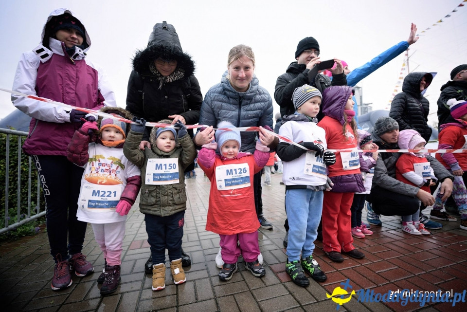 Bieg Malucha - Bieg Niepodległości z PKO Bankiem Polskim 2017
