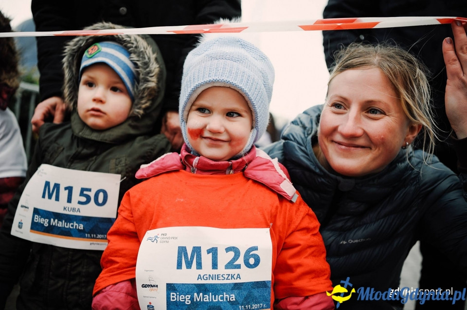 Bieg Malucha - Bieg Niepodległości z PKO Bankiem Polskim 2017
