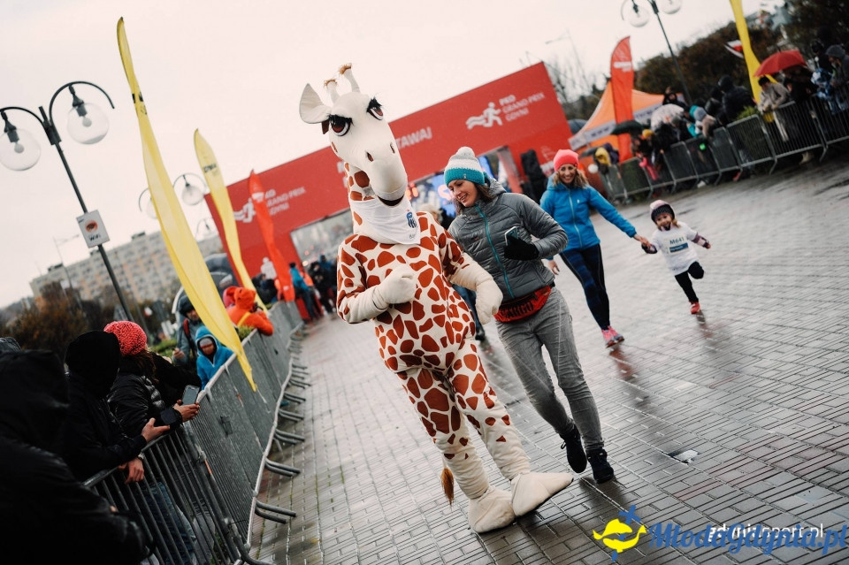 Bieg Malucha - Bieg Niepodległości z PKO Bankiem Polskim 2017