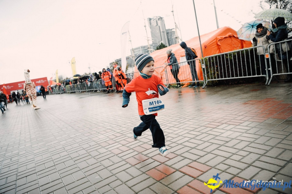Bieg Malucha - Bieg Niepodległości z PKO Bankiem Polskim 2017