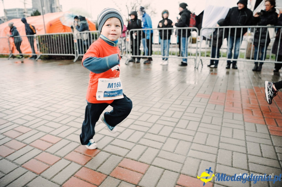 Bieg Malucha - Bieg Niepodległości z PKO Bankiem Polskim 2017