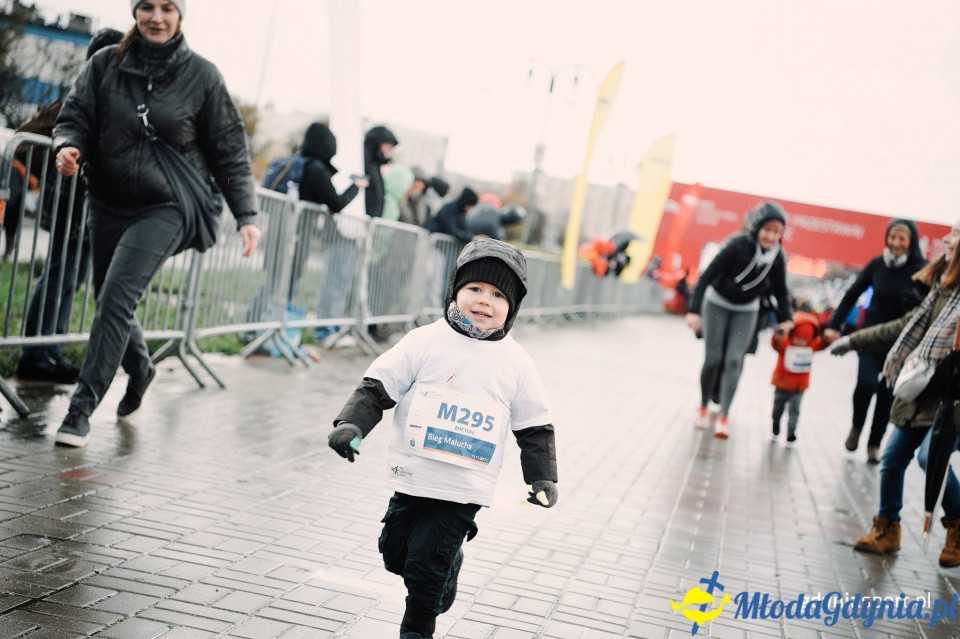 Bieg Malucha - Bieg Niepodległości z PKO Bankiem Polskim 2017