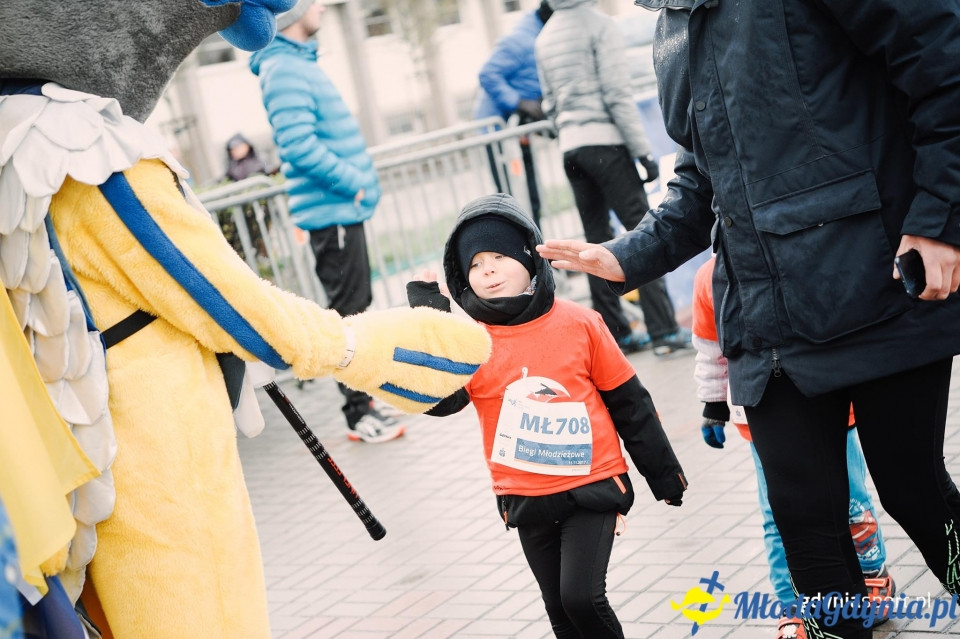 Bieg Malucha - Bieg Niepodległości z PKO Bankiem Polskim 2017