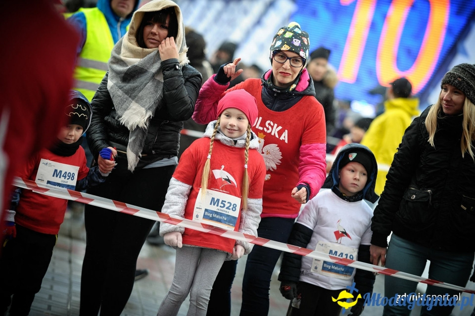 Bieg Malucha - Bieg Niepodległości z PKO Bankiem Polskim 2017