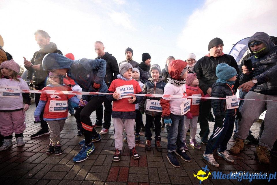 Bieg Malucha - Bieg Niepodległości z PKO Bankiem Polskim 2017