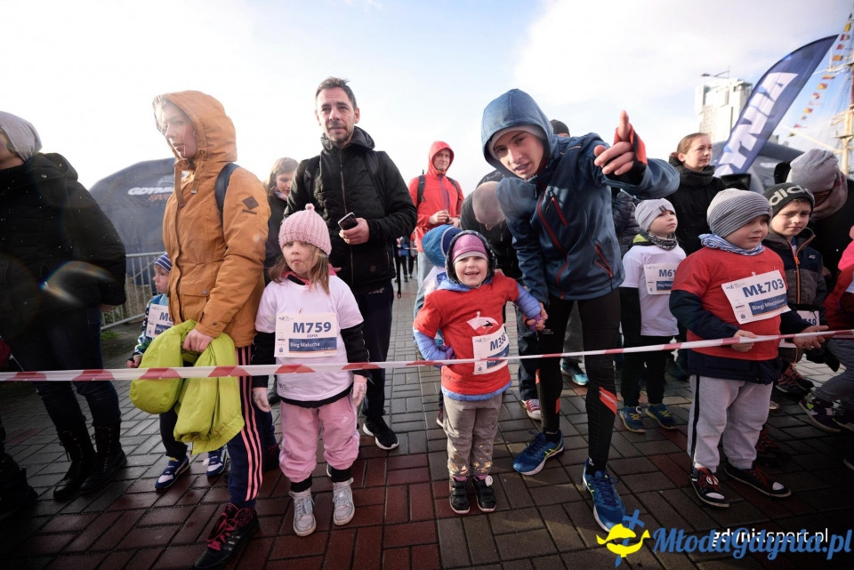Bieg Malucha - Bieg Niepodległości z PKO Bankiem Polskim 2017