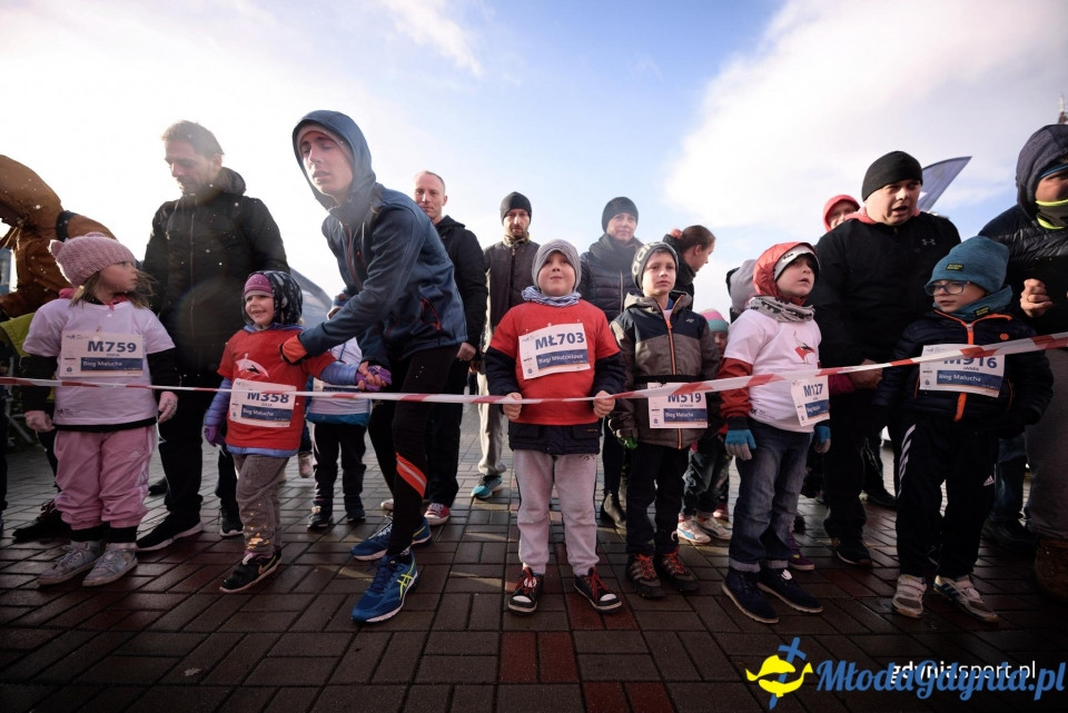 Bieg Malucha - Bieg Niepodległości z PKO Bankiem Polskim 2017