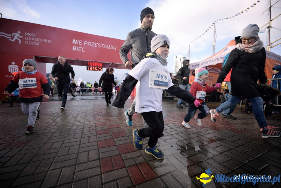 Bieg Malucha - Bieg Niepodległości z PKO Bankiem Polskim 2017