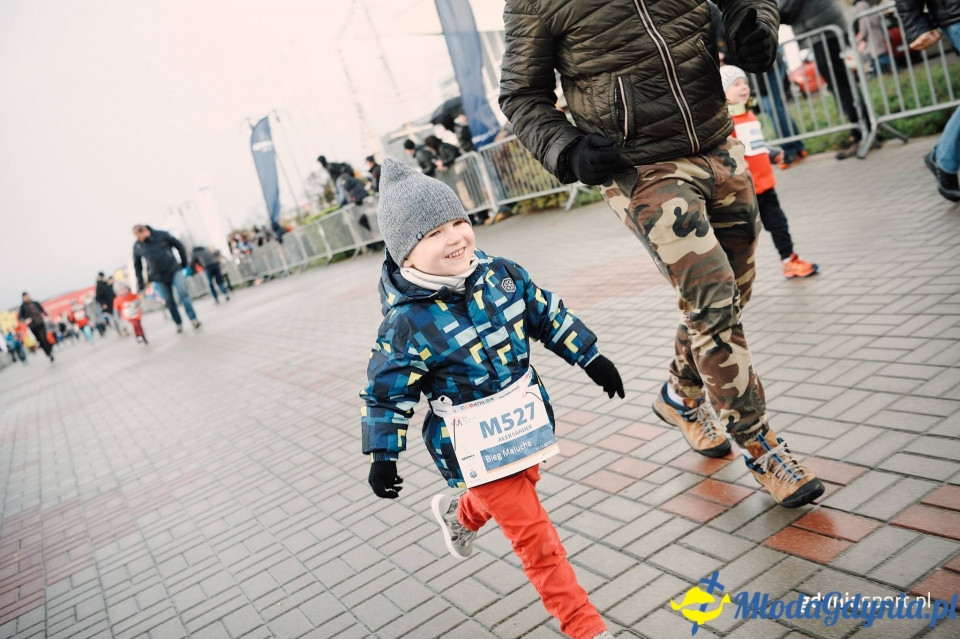 Bieg Malucha - Bieg Niepodległości z PKO Bankiem Polskim 2017