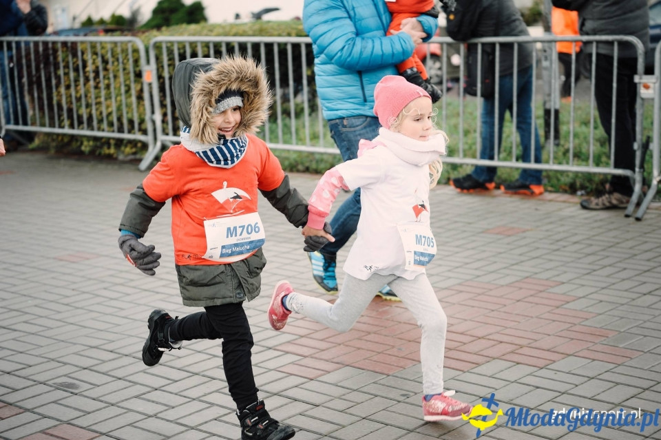 Bieg Malucha - Bieg Niepodległości z PKO Bankiem Polskim 2017