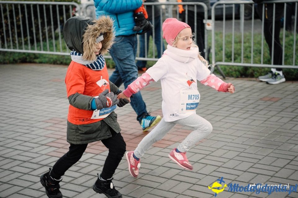 Bieg Malucha - Bieg Niepodległości z PKO Bankiem Polskim 2017