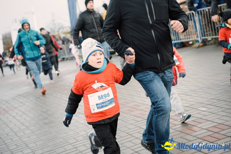 Bieg Malucha - Bieg Niepodległości z PKO Bankiem Polskim 2017