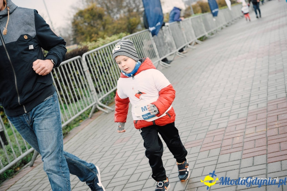 Bieg Malucha - Bieg Niepodległości z PKO Bankiem Polskim 2017