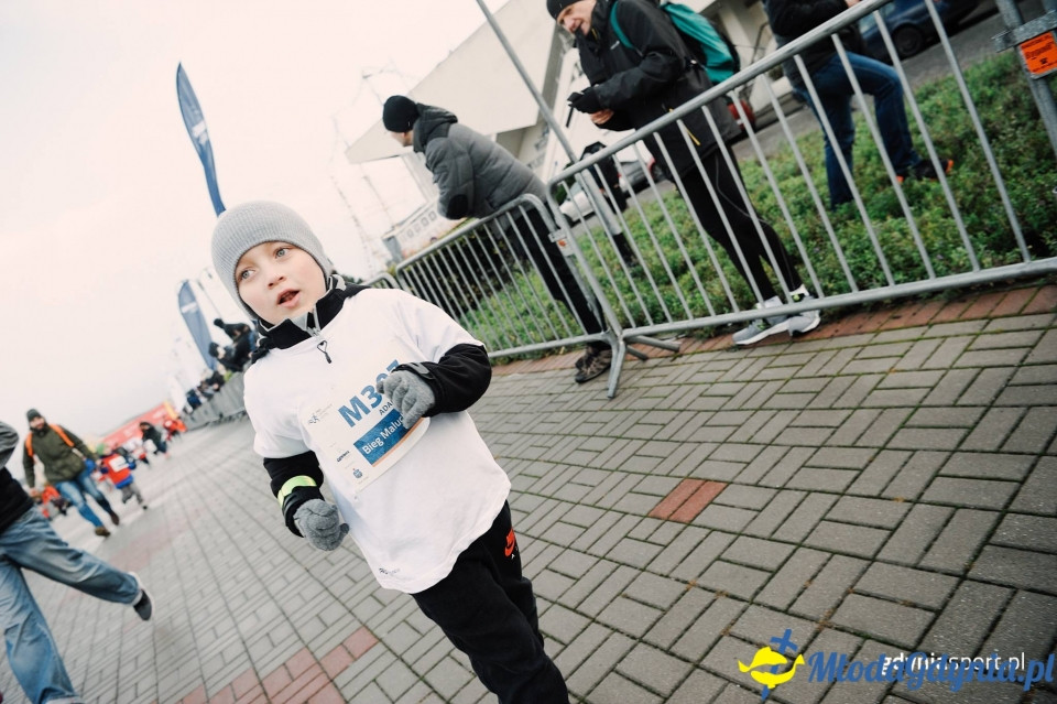 Bieg Malucha - Bieg Niepodległości z PKO Bankiem Polskim 2017