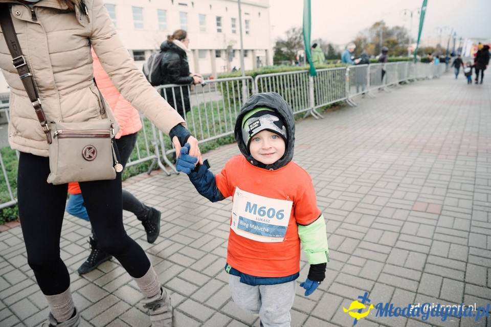 Bieg Malucha - Bieg Niepodległości z PKO Bankiem Polskim 2017