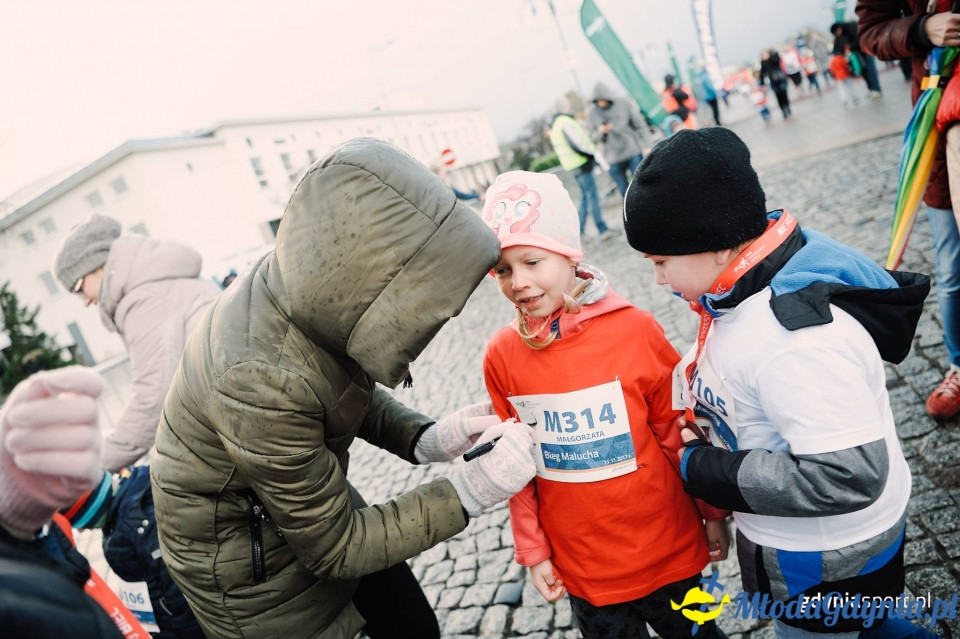 Bieg Malucha - Bieg Niepodległości z PKO Bankiem Polskim 2017