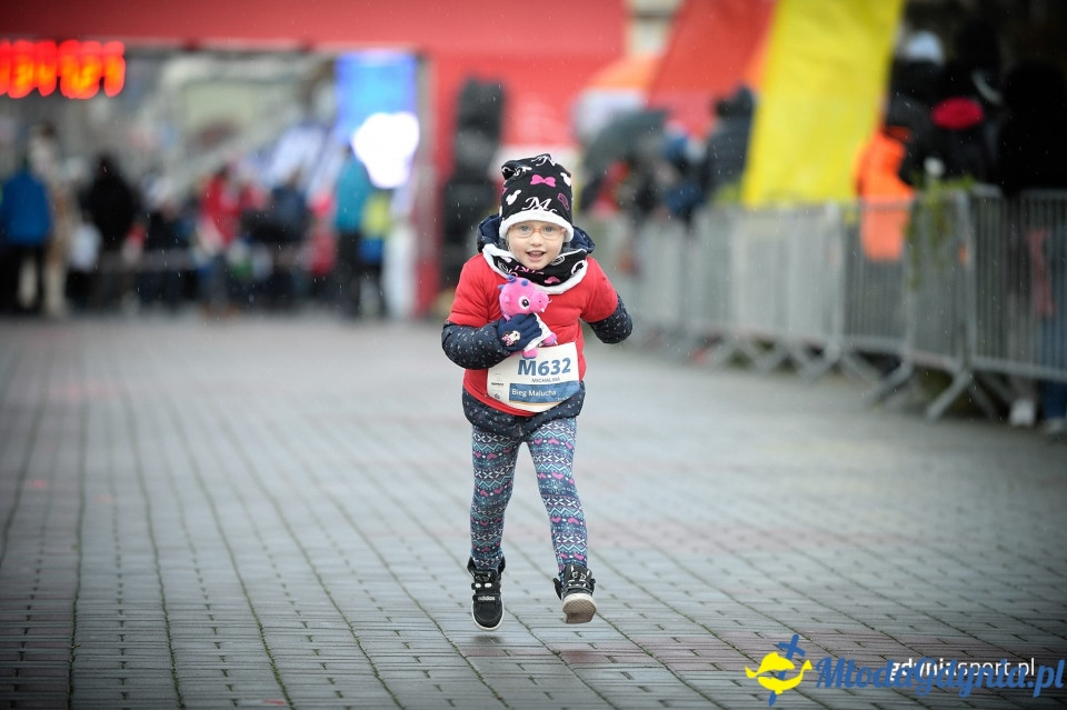Bieg Malucha - Bieg Niepodległości z PKO Bankiem Polskim 2017