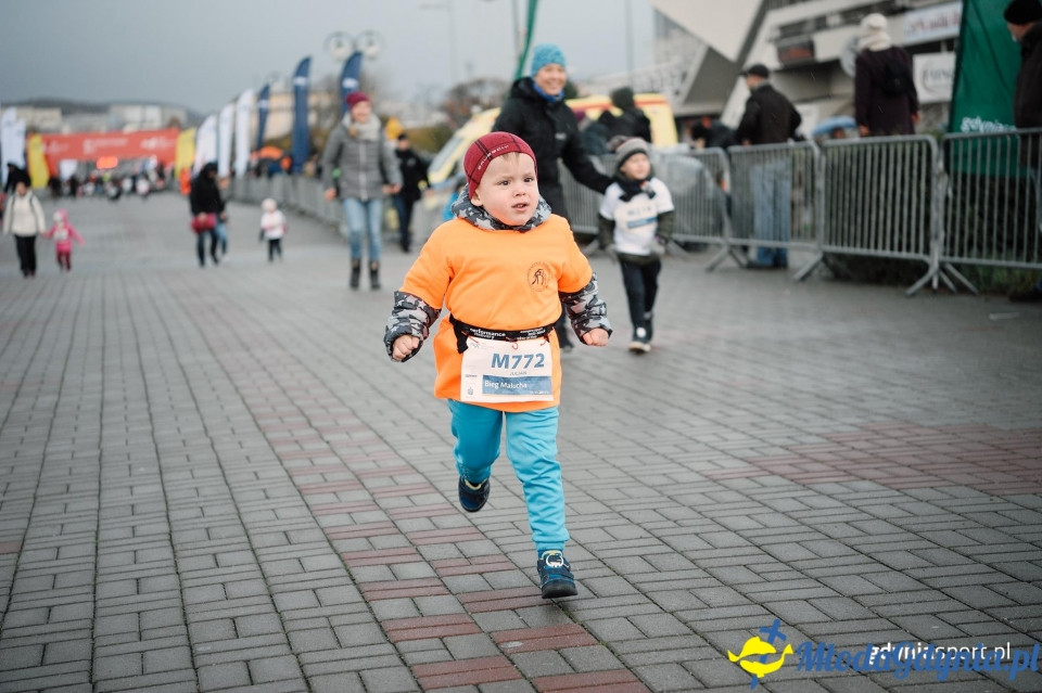 Bieg Malucha - Bieg Niepodległości z PKO Bankiem Polskim 2017