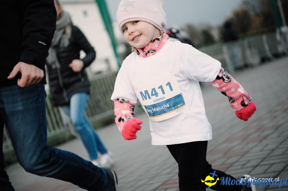 Bieg Malucha - Bieg Niepodległości z PKO Bankiem Polskim 2017