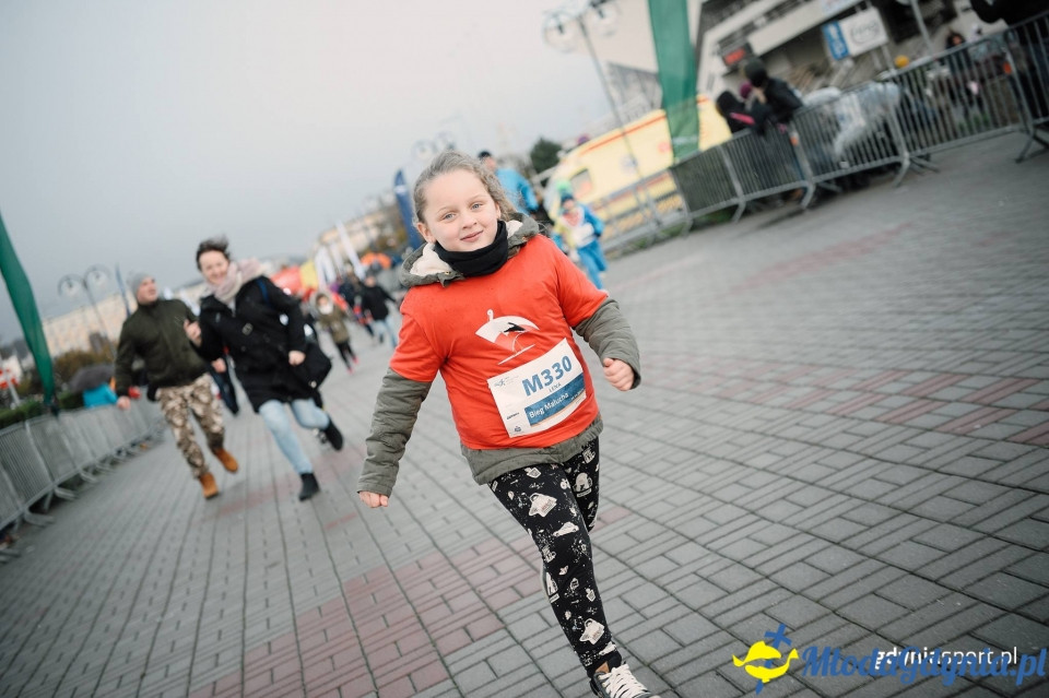 Bieg Malucha - Bieg Niepodległości z PKO Bankiem Polskim 2017