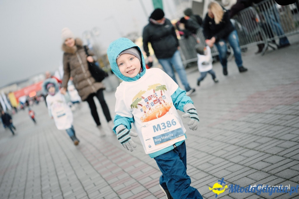 Bieg Malucha - Bieg Niepodległości z PKO Bankiem Polskim 2017