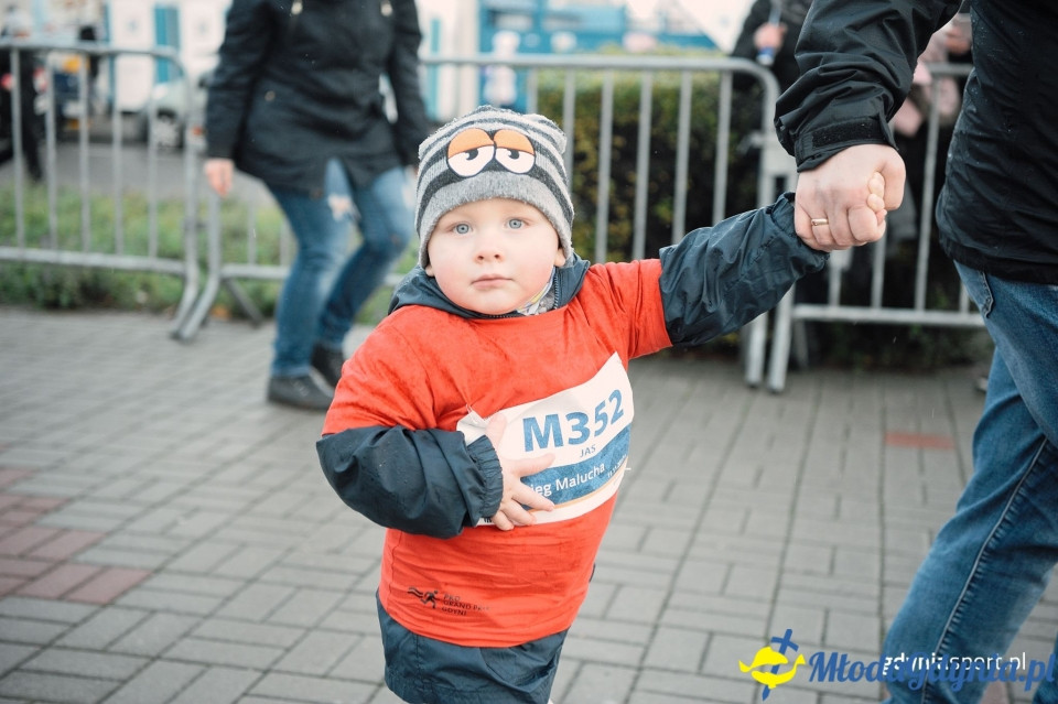 Bieg Malucha - Bieg Niepodległości z PKO Bankiem Polskim 2017