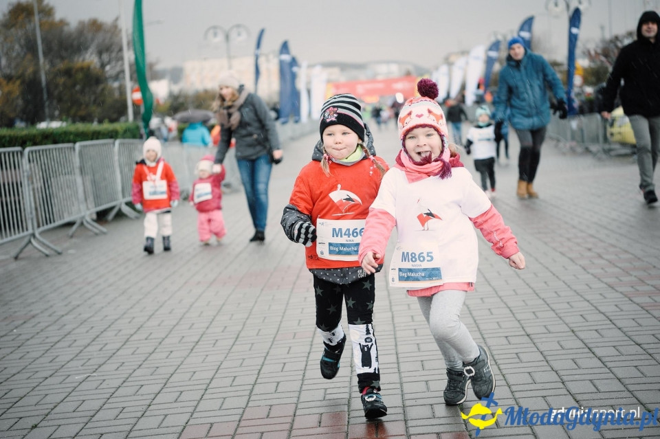 Bieg Malucha - Bieg Niepodległości z PKO Bankiem Polskim 2017