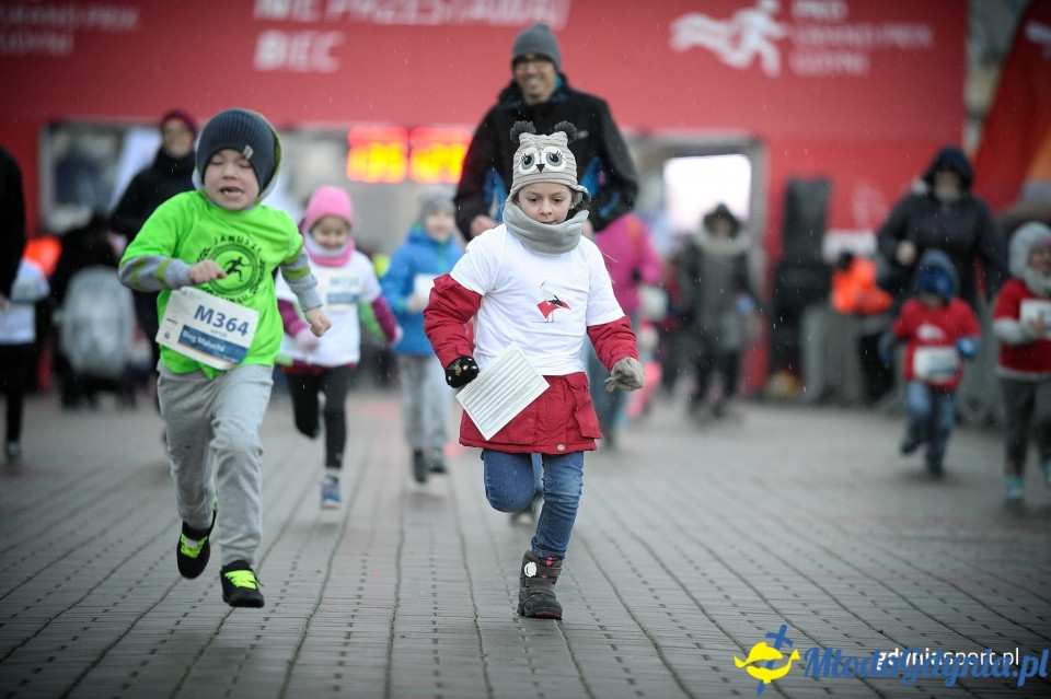 Bieg Malucha - Bieg Niepodległości z PKO Bankiem Polskim 2017