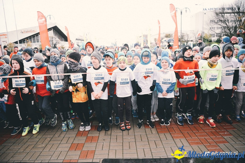Starty młodzieżowe - Bieg Niepodległości z PKO Bankiem Polskim 2017 (I)