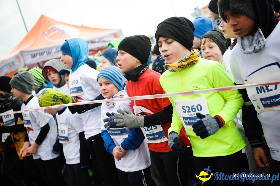 Starty młodzieżowe - Bieg Niepodległości z PKO Bankiem Polskim 2017 (I)