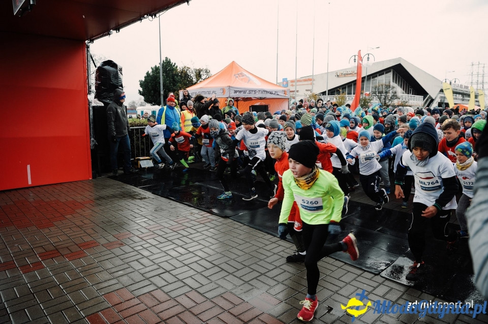 Starty młodzieżowe - Bieg Niepodległości z PKO Bankiem Polskim 2017 (I)