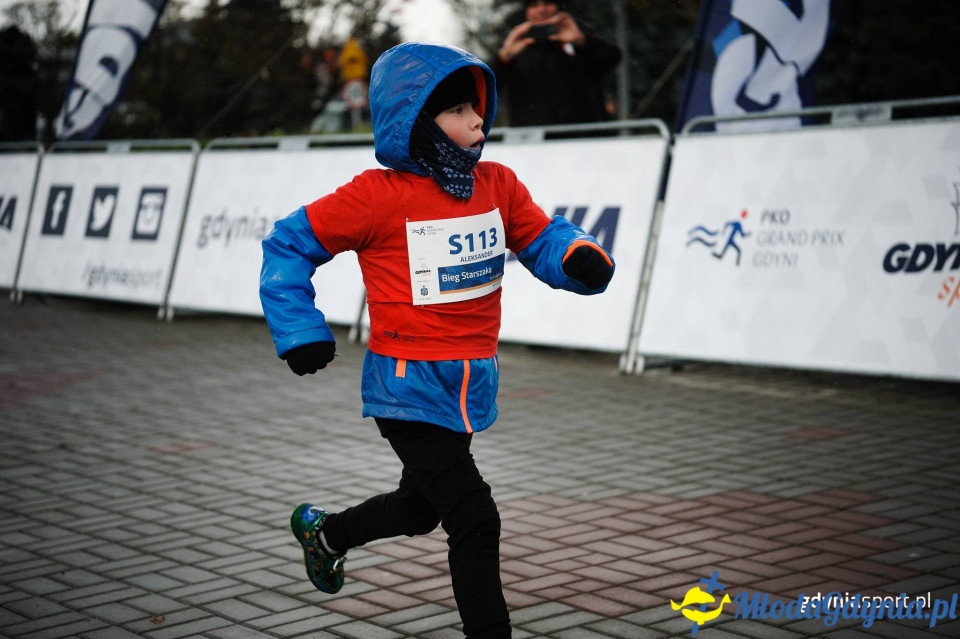 Starty młodzieżowe - Bieg Niepodległości z PKO Bankiem Polskim 2017 (I)