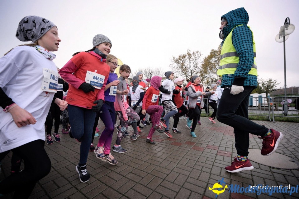Starty młodzieżowe - Bieg Niepodległości z PKO Bankiem Polskim 2017 (I)