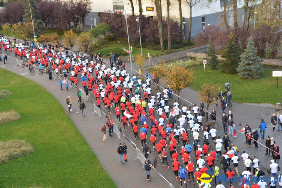Bieg główny - Bieg Niepodległości z PKO Bankiem Polskim 2017 (I)