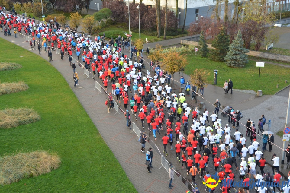 Bieg główny - Bieg Niepodległości z PKO Bankiem Polskim 2017 (I)