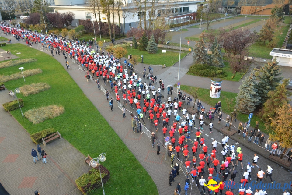 Bieg główny - Bieg Niepodległości z PKO Bankiem Polskim 2017 (I)