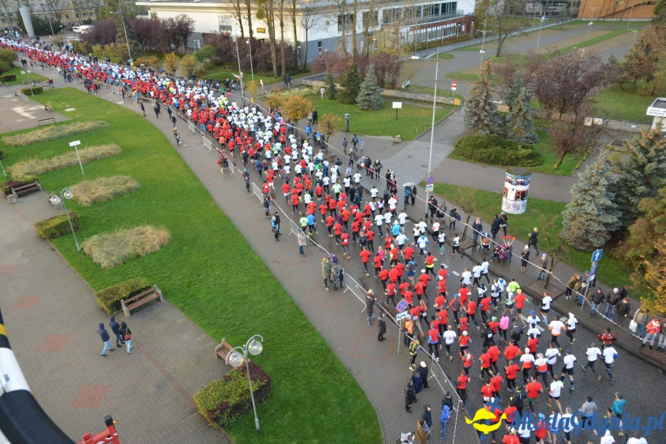 Bieg główny - Bieg Niepodległości z PKO Bankiem Polskim 2017 (I)