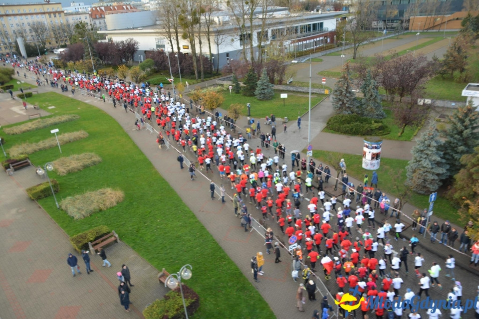 Bieg główny - Bieg Niepodległości z PKO Bankiem Polskim 2017 (I)