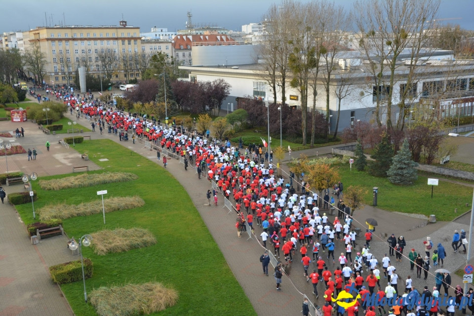 Bieg główny - Bieg Niepodległości z PKO Bankiem Polskim 2017 (I)